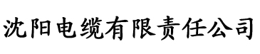 麻豆视频精品在线观看电缆厂logo